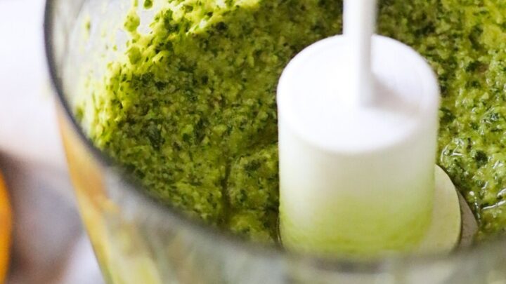 The Freshest Oregano Pesto Recipe