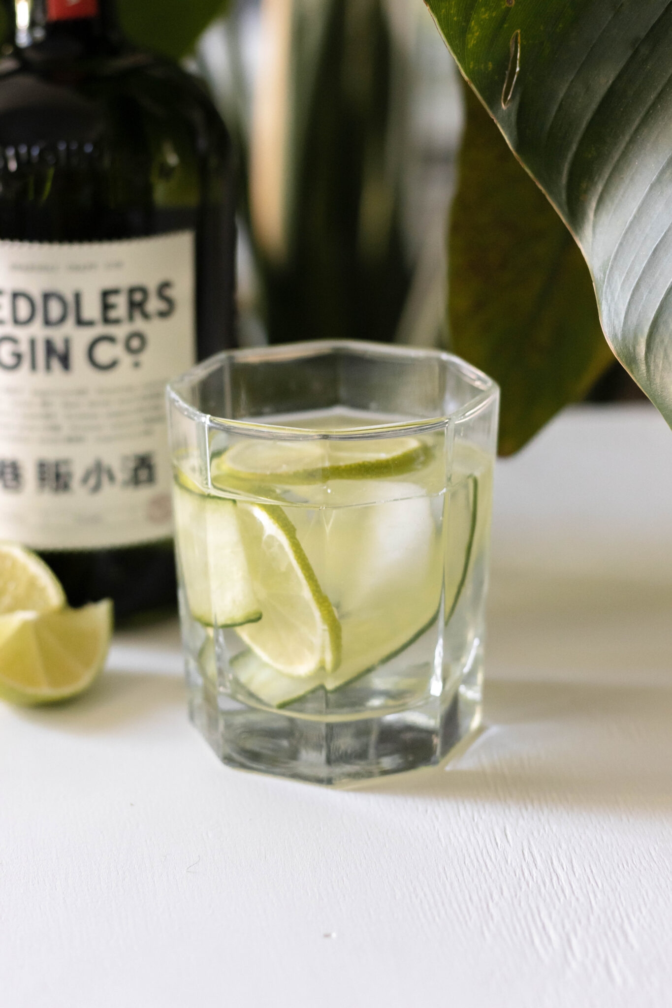 Easy Cucumber Gin and Tonic Cocktail MAY EIGHTY FIVE