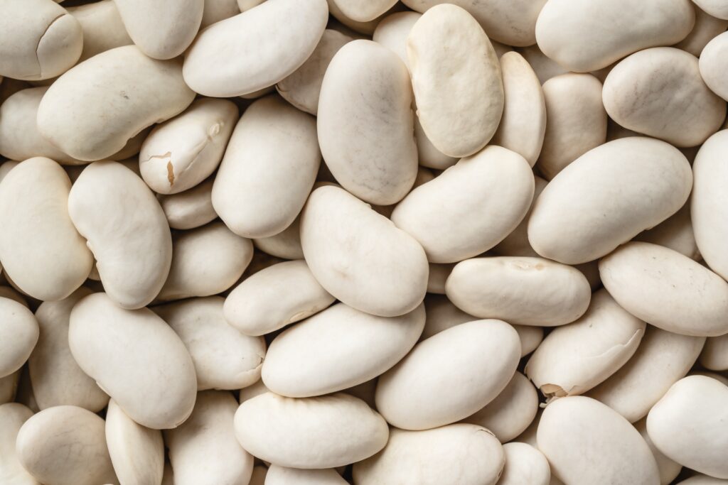 Lima Beans vs Butter Beans What’s is the Difference? MAY EIGHTY FIVE