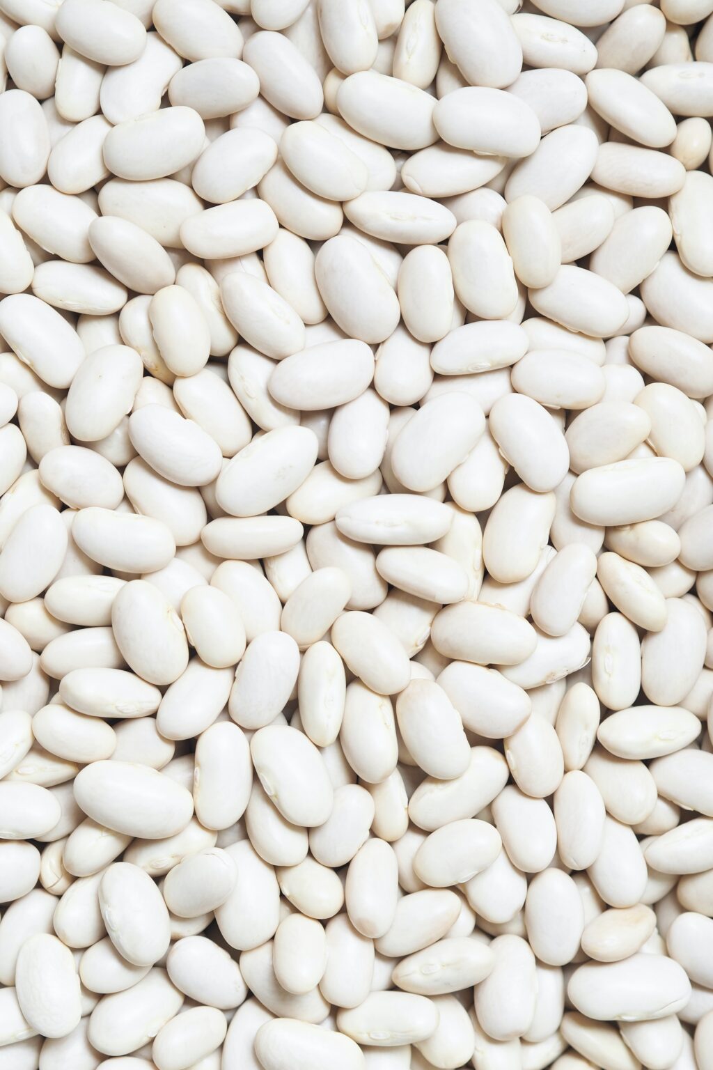 The Best Substitutes for Butter Beans MAY EIGHTY FIVE