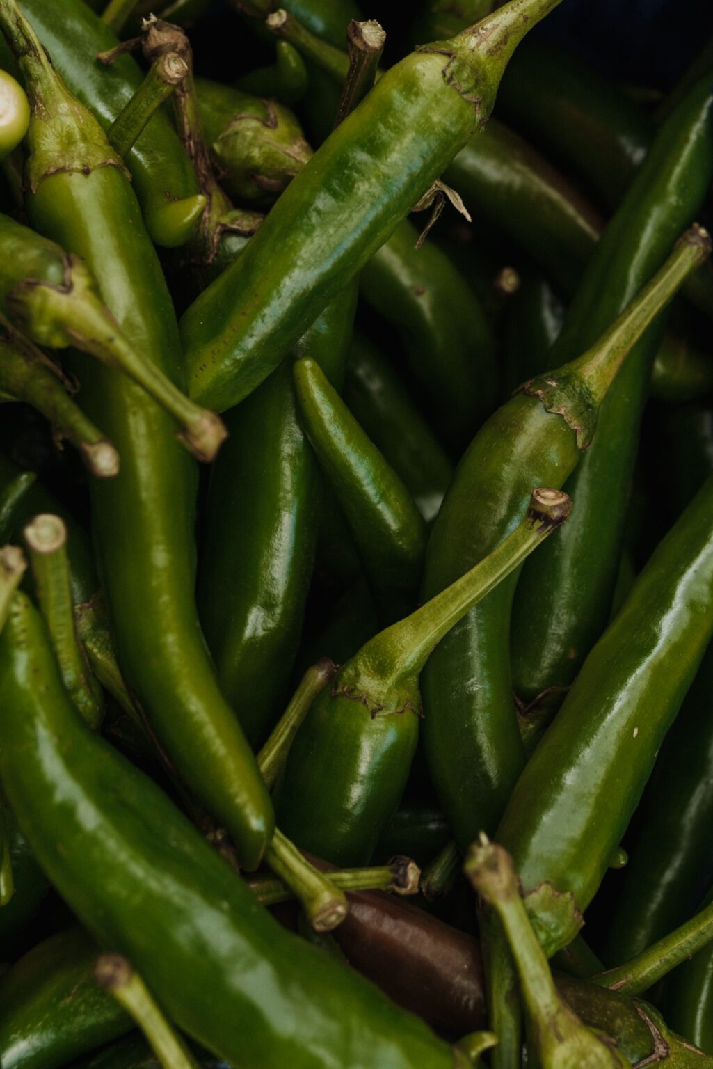 Best Substitutes for Chili Pepper Easy Substitutions MAY EIGHTY FIVE