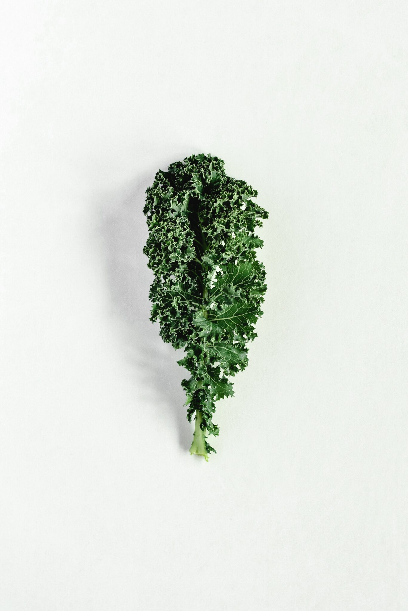 How Long Does Kale Last and How to Tell If It’s Gone Bad MAY EIGHTY FIVE