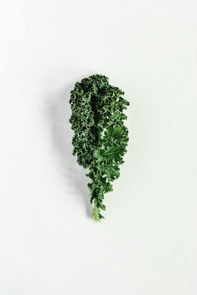 How Long Does Kale Last and How to Tell If It's Gone Bad - MAY
