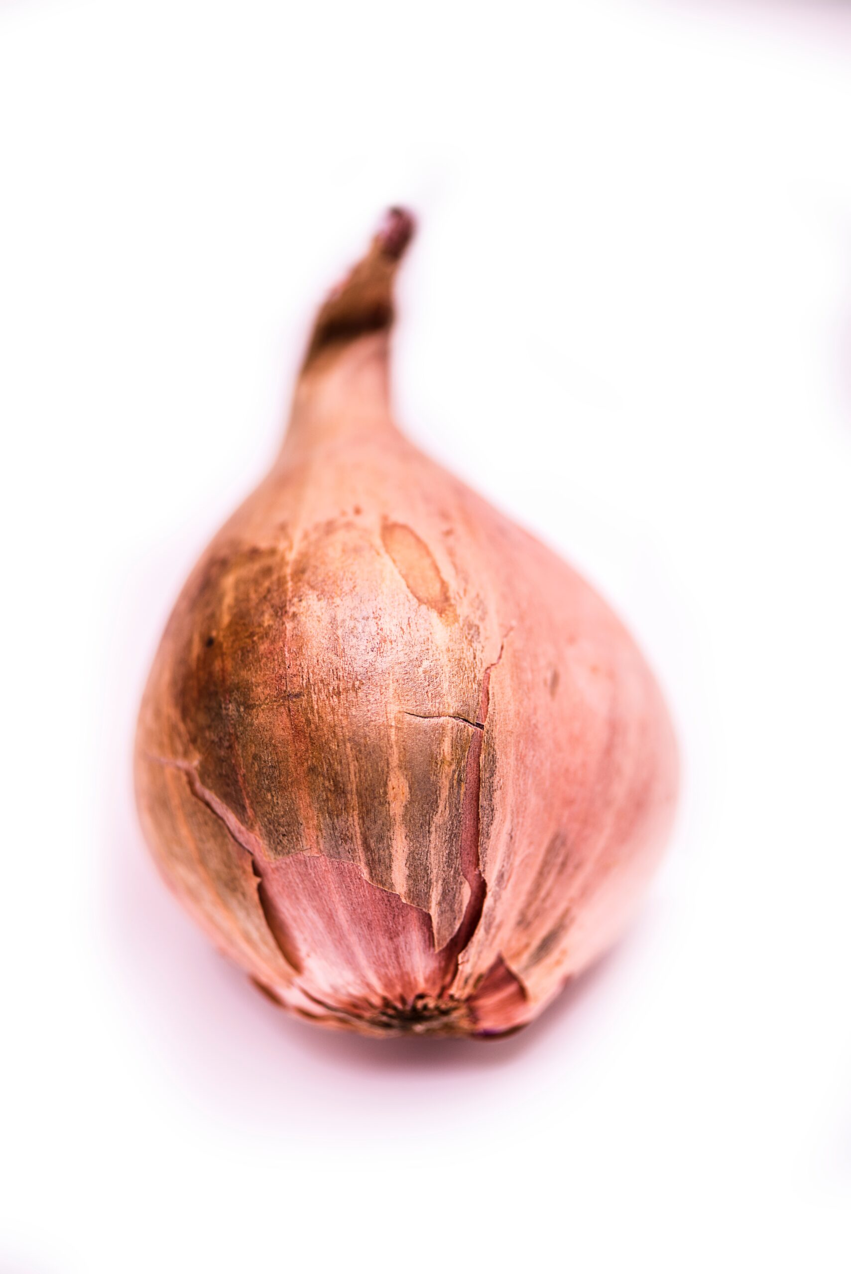 What Can I Substitute for Spanish Onion?