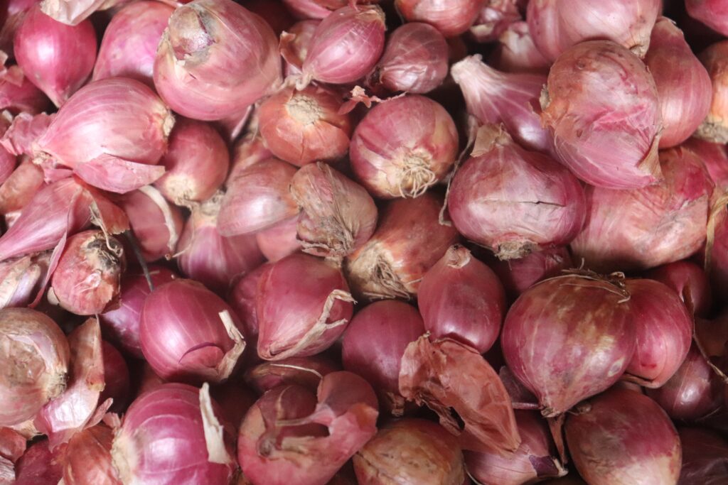 Shallot Substitute (Best Shallot Replacement Options)