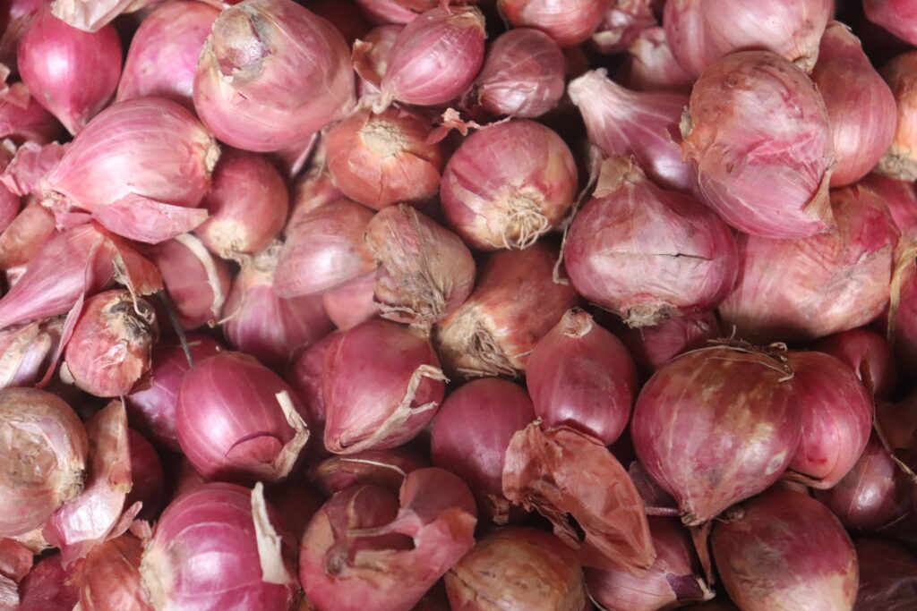 The 10 Best Shallot Substitutes