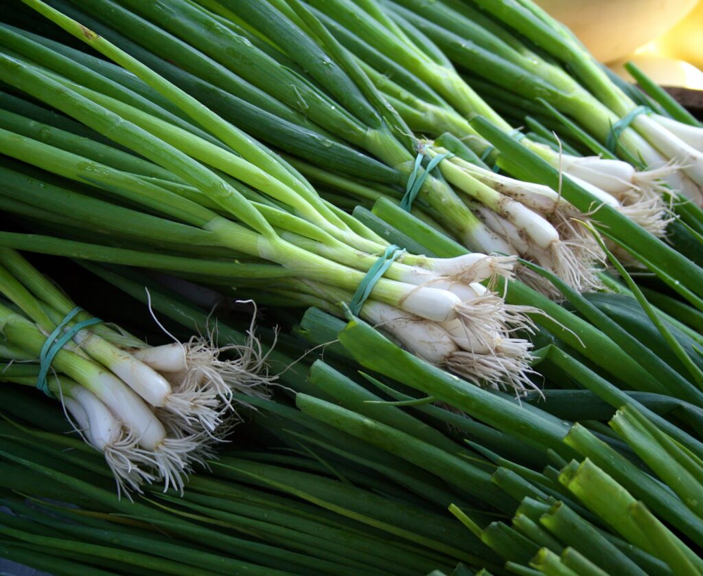 6 Zesty Substitutes For Shallots