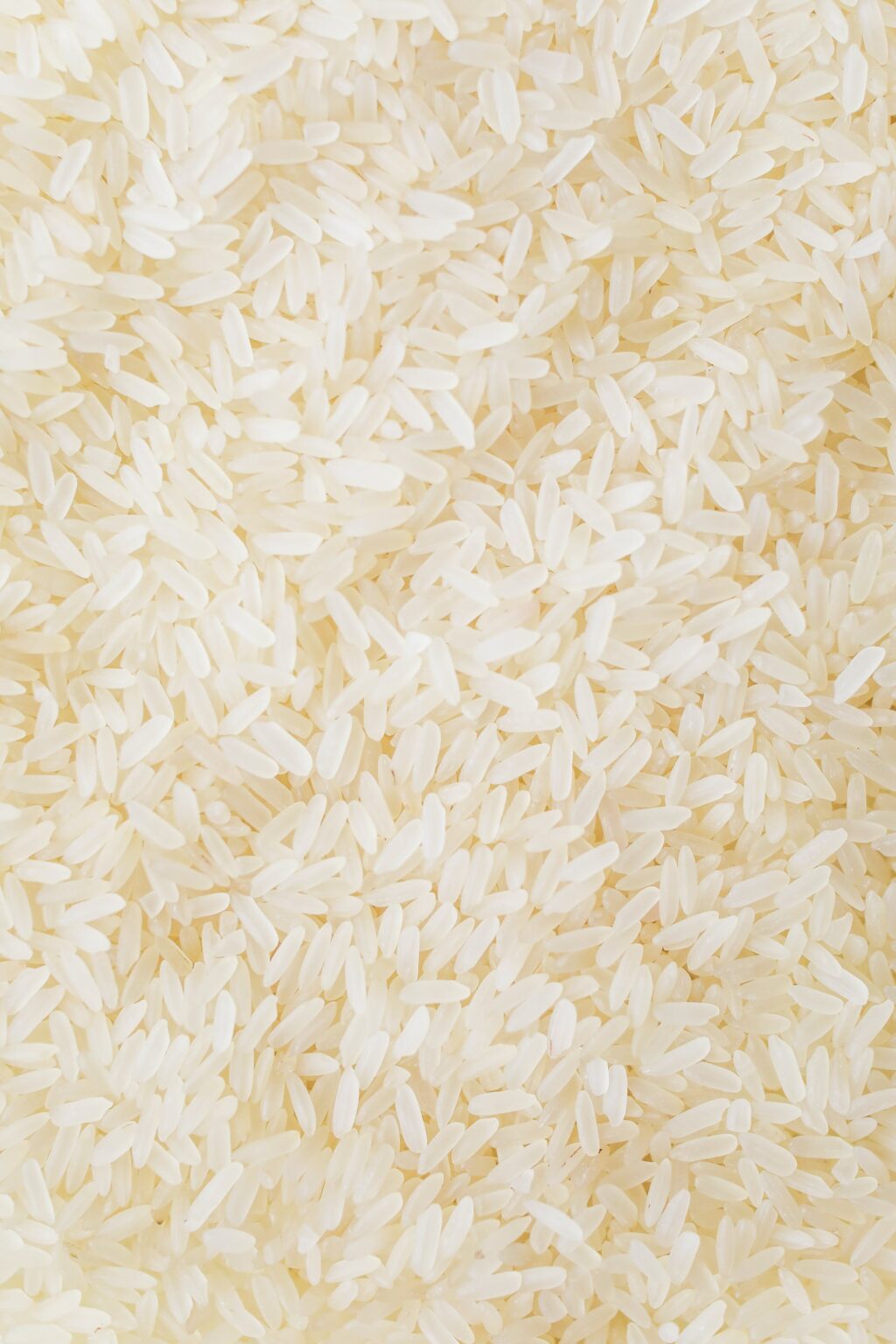 Can You Freeze Cooked Rice All You Need to Know (With Recipes) MAY